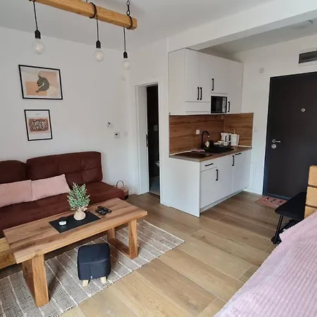 Apartament Sisarka *